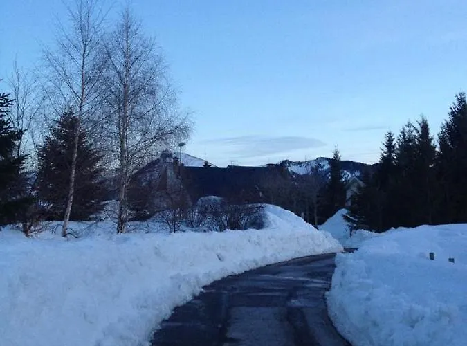 Bajo Con Terraza Y Vistas A Montana En Apartamento Formigal